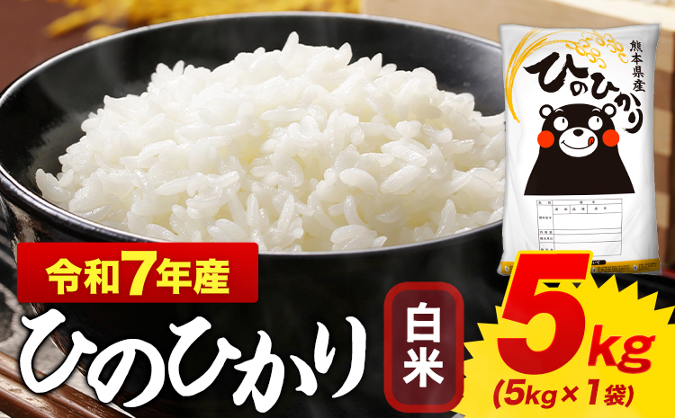 白米 ひのひかり 5kg 令和7年産  熊本県産 ふるさと納税  白米 精米 《7-14日以内に出荷予定(土日祝除く)》 ひの 米 こめ ふるさとのうぜい ヒノヒカリ コメ お米 おこめ---mifune_lcl_1211_5kg---