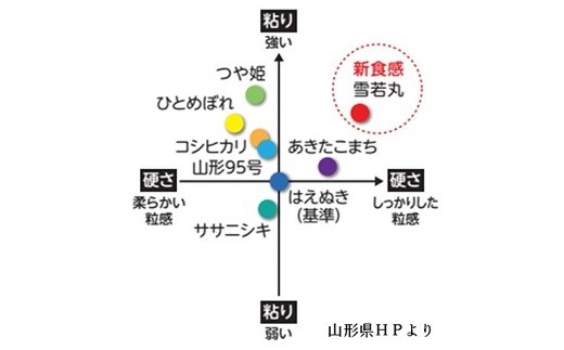 【R8年10月~発送】R8年産 無洗 米 キューブ つや姫 雪若丸 詰合せ 2合 40個 12kg 0059-2608