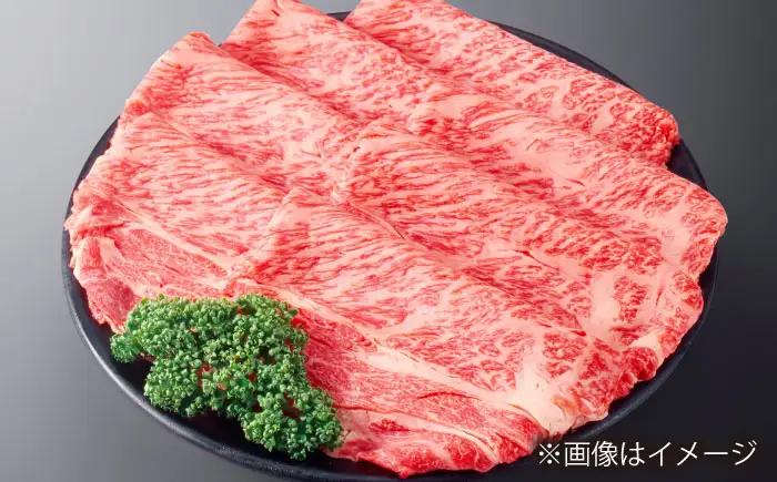 【大自然の贈り物！】長崎和牛モモスライス 約500g【ながさき西海農業協同組合】 [DBV008][DBV008]