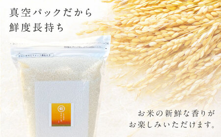 【全6回定期便】令和7年産　プレミアム仁多米（こしひかり）なおらい米 真空パック 10kg（2kg5袋）島根県松江市/奥出雲NAORAI たなべの匠味[ALHP030]