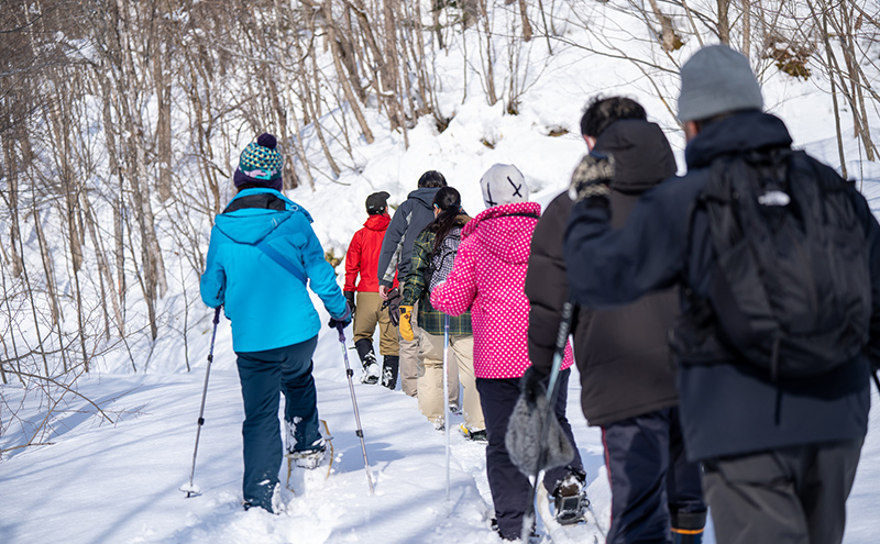 体験 北海道 冬季限定！ スノーシュー 体験チケット 4枚 (4名様参加可能) ioru 体験型 旅行 子供 大人 動物 アクティビティ アウトドア スポーツ ギフト券 チケット 券 絶景 初心者 遊