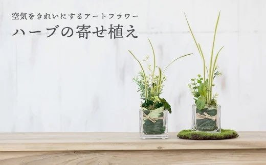 
【空気をきれいにするアートフラワー】ハーブの寄せ植え
