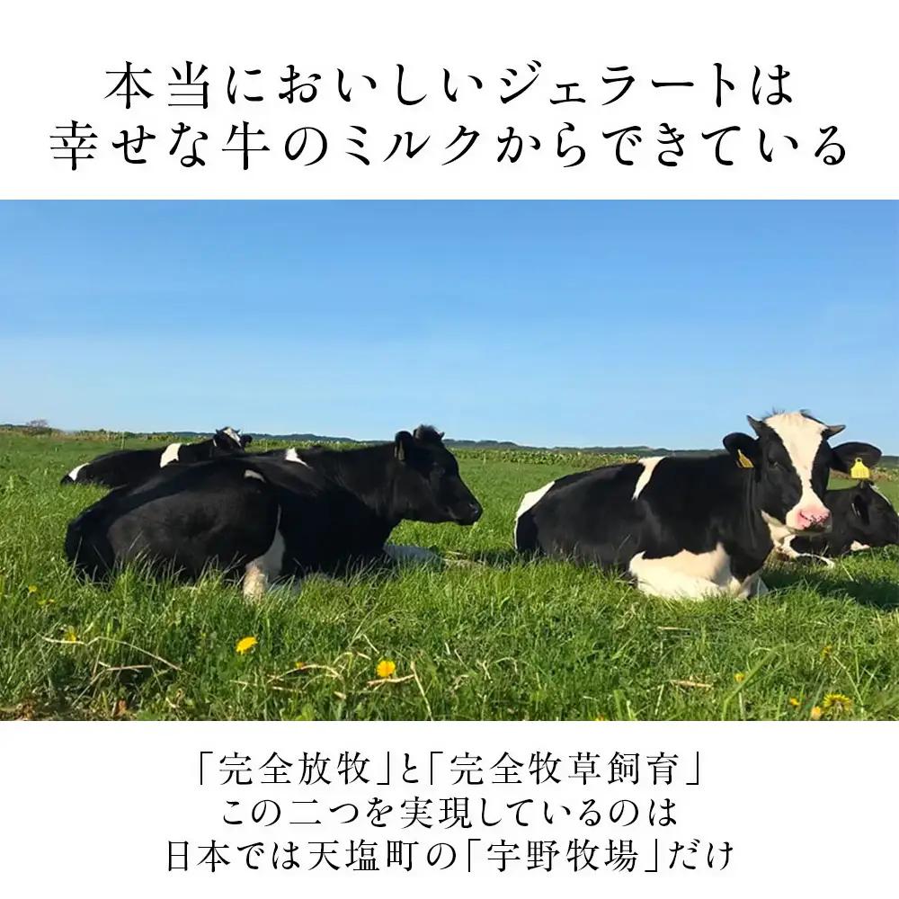 【定期便5ヵ月】幸せな牛のミルクからできたジェラート パティシエおすすめ12個セット ＜（株）SAKURA STYLE＞