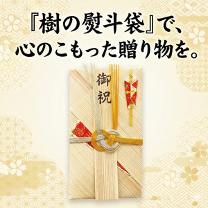 熨斗袋 赤 1袋 のし ドリームチーム