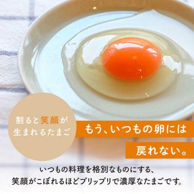 ふるさと納税 糸島市 【プリップリな卵黄!】つまんでご卵 40個セット 鶏卵 たまご 糸島/緑の農園 [AGA011] |  | 01
