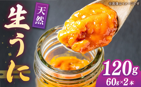 天然 生うに 60g×2 [JAQ010] うに