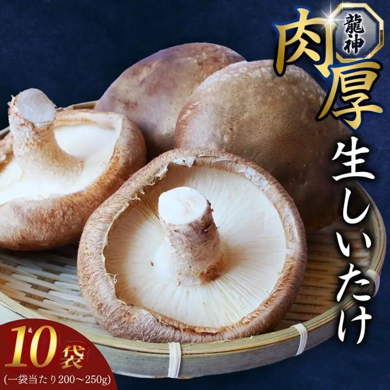 しいたけ ５袋セット 龍神マッシュの生しいたけ 【mas002】