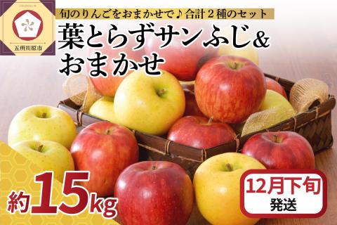 【2025年12月下旬発送】 りんご 15kg 詰め合わせ 計2種(葉とらず サンふじ と 他1種)