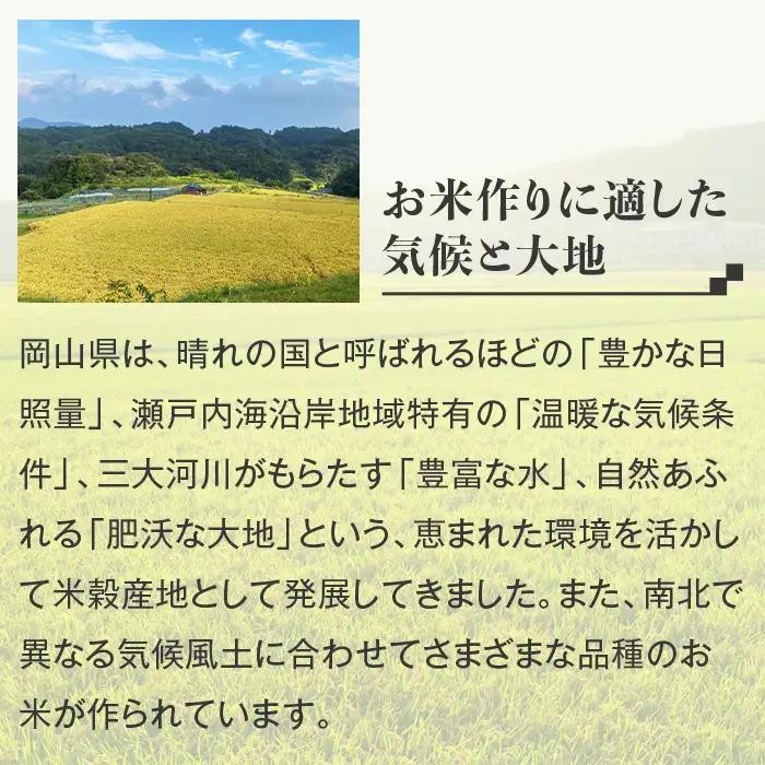 【無洗米】岡山県産あきたこまち2kg【3ヶ月連続お届け】