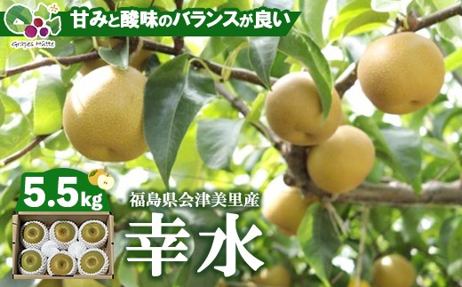 
                  【先行受付】会津の美味しい梨 幸水 約5.5kg（10玉～12玉） 贈答用2箱組 | 期間限定 梨 なし ナシ 果物 フルーツ 甘い ジューシー 果実 くだもの 国産 果実 会津美里町産 ※2026年8月～発送
                