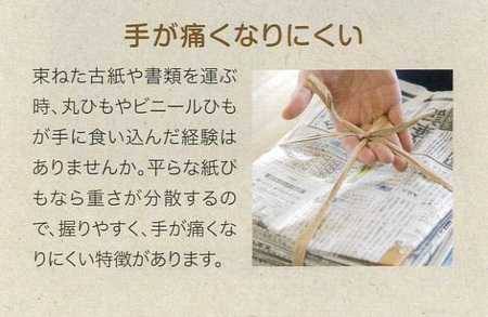0010-78-01 平ひも ひらりS 100m 6巻入