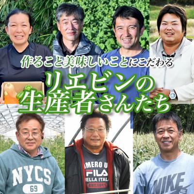 ふるさと納税 館山市 【毎月定期便】【中旬発送】こだわりの旬野菜BOX「リエビン」季節の野菜セット全6回 |  | 02
