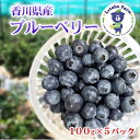 Lucaho Farm ブルーベリー（発送6月〜）　【果物類 フルーツ】　お届け：2023年6月中旬〜7月中旬