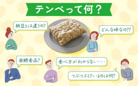 【3回定期便】長崎てんぺ 8個セット / 大豆 健康食品 小分け パック 美容 健康 ヘルシー ヴィーガン 低カロリー 【大屋食品工業】[OAB007]