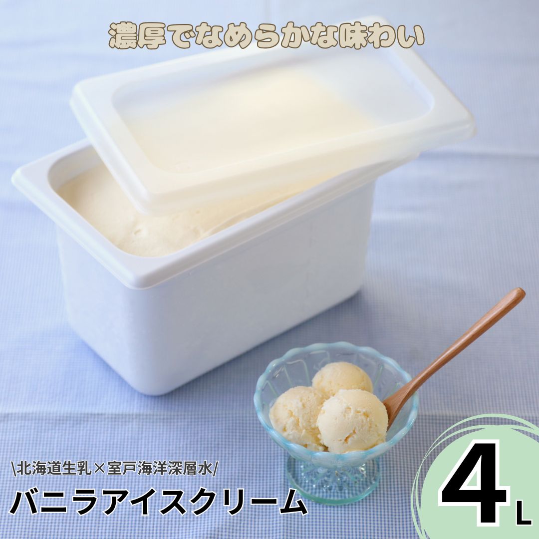 【ふるさと納税】 北海道産生乳使用 濃厚バニラ アイスクリーム 4L 大容量 アイス 業務用 スイーツ ご家庭用 ギフト デザート 人気 国産 お取り寄せ プレゼント 高知県室戸市 冷凍 送料無料