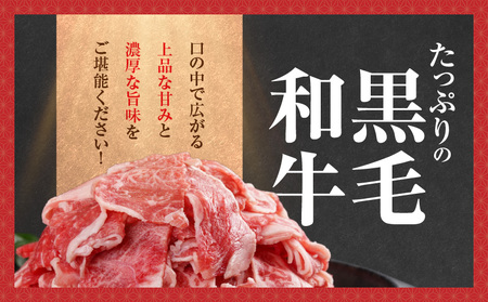 【黒毛和牛】切り落とし1kg(250g×4パック)_11-I901_(都城市)国産黒毛和牛 切り落とし 250g×4パック 外モモ・ウデ・マル・バラ・モモ・ブリスケのMIX 肉じゃが 牛丼 ハヤシライ