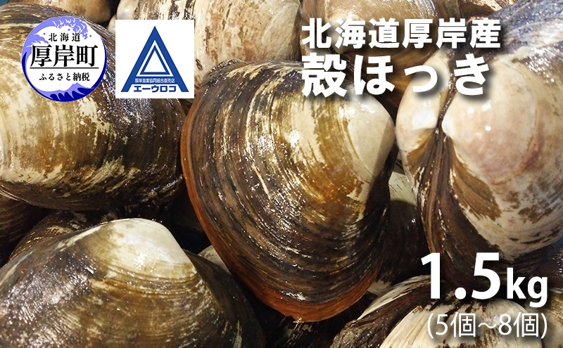 
                  新鮮 北海道 厚岸産 殻ほっき 1.5kg (5個～8個) [ ホッキ 北寄 貝 産地直送 魚介類 バーべキュー ][№5863-1552]
                