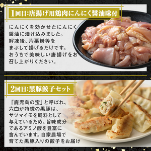 【D90001】＜定期便・全3回＞肝付町セレクト定期便《簡単調理で肉を楽しむ定期便》 鹿児島県産 国産 豚肉 鶏肉 加工品 黒豚 餃子 ギョーザ ギョウザ ロース 味噌づけ 味噌漬け 時短 定期便 セ