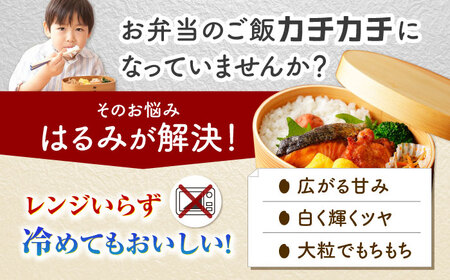 【白米】はるみ米 20kg 白米   [BDBB004]