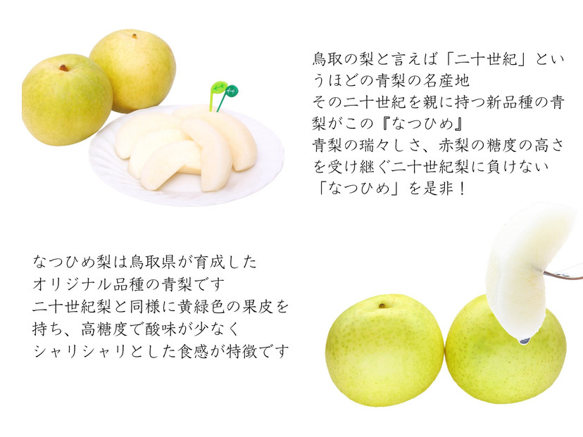 数量限定 鳥取県産 梨 訳あり ご自宅用 なつひめ 5kg