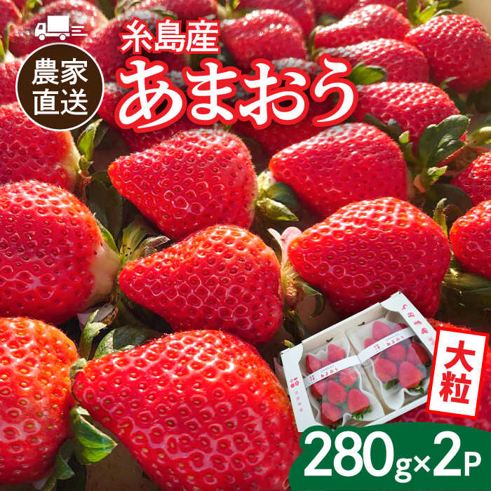 【ふるさと納税】【先行予約】(農家直送！) 糸島産 あまおう 280g×2パック (DXまたはGサイズ) 【2025年12月以降順次発送】糸島市 / 後藤農園 [AML001] いちご イチゴ 苺 11000円 ギフト