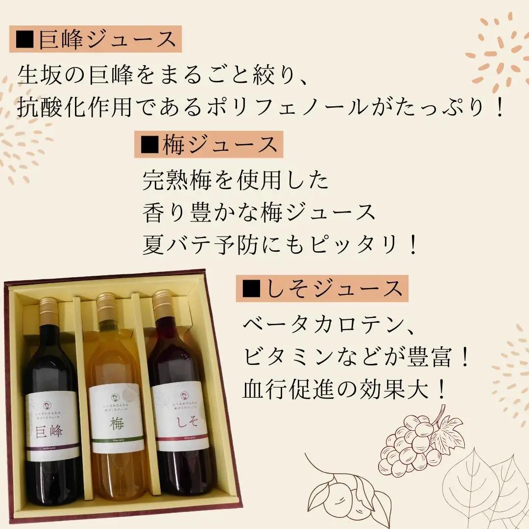 かあさん家 手作りジュースセット (巨峰・梅・しそ) 手作りジュースセット 生坂村農業公社 | 手作りジュースセット
