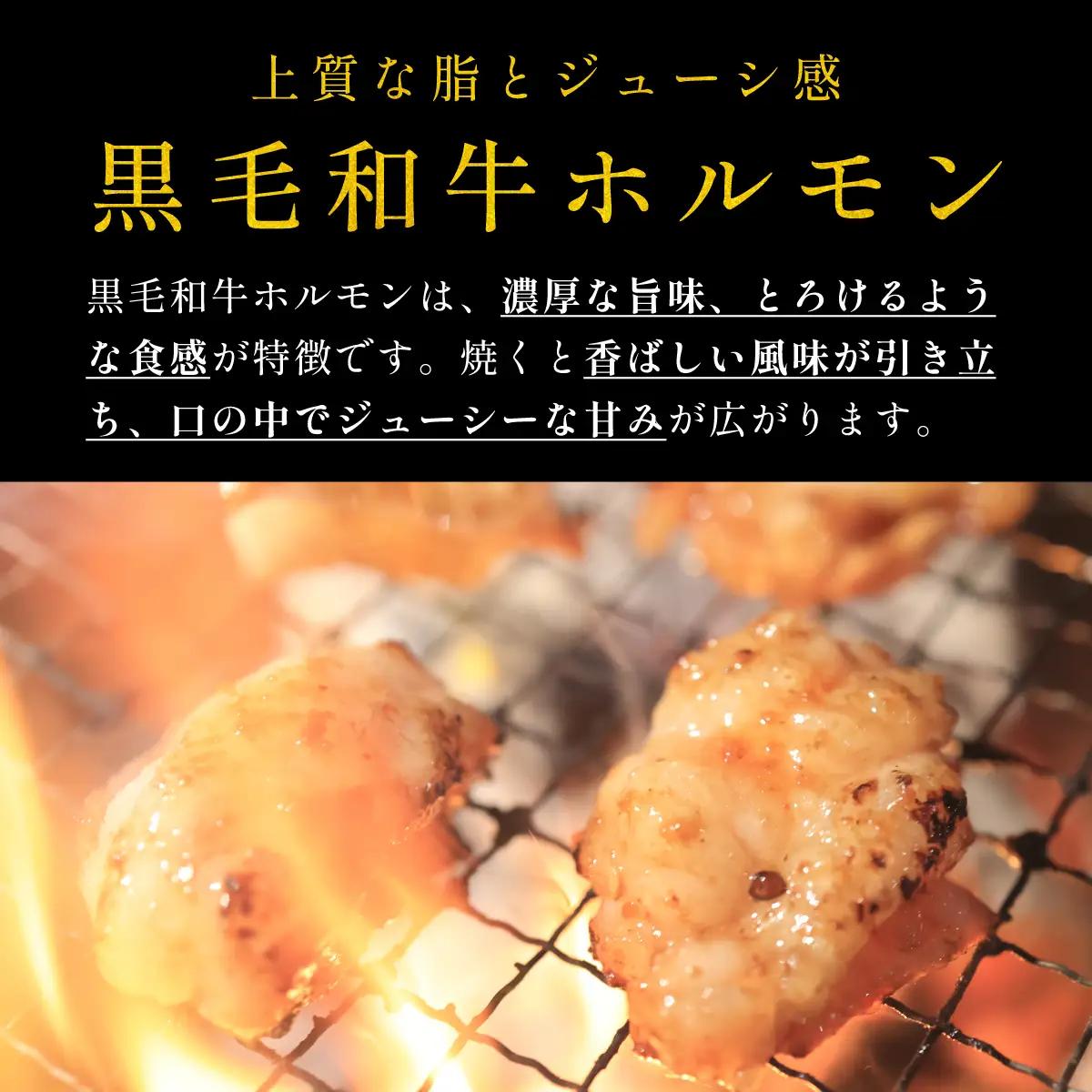 〈スピード出荷〉黒毛和牛ホルモン（しょうゆ 小分け 500g）焼肉 ホルモン MSK023