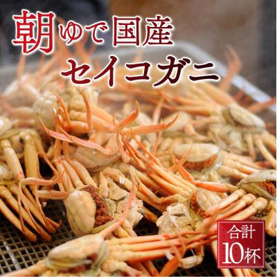 ふるさと納税 小浜市 朝ゆでセイコガニ10ハイ