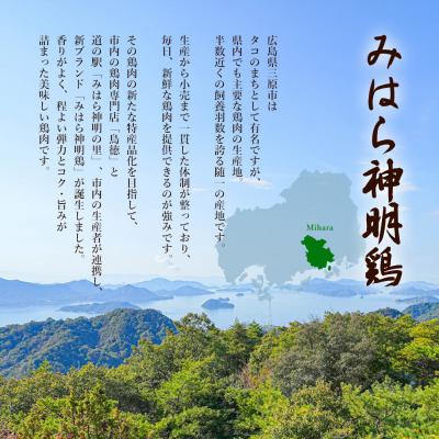 ふるさと納税 三原市 三原焼き振興会監修、新鮮な鳥もつ入の広島風お好み焼「三原焼き」[012-006] |  | 01
