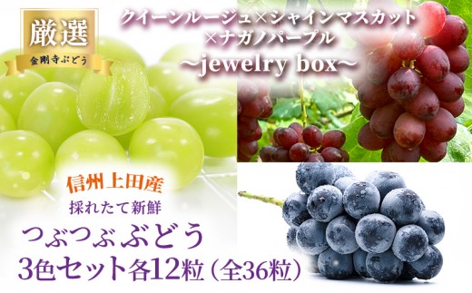 
                  厳選！クイーンルージュ(R)×シャインマスカット×ナガノパープル jewelry box 信州上田産 金剛寺ぶどう 36粒 つぶつぶぶどう 3色 セット 詰め合わせ ぶどう マスカット フルーツ 旬の果物 長野 [№5312-1487]
                