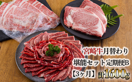 宮崎牛月替わり堪能セット定期便B[3ヶ月] 合計1600g　TF0690-P00020