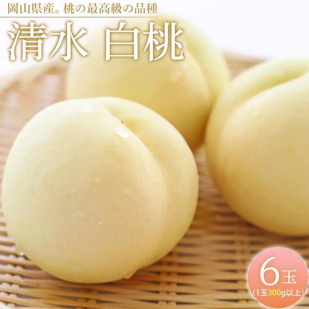桃 2026年  清水 白 桃 6玉（1玉300g以上） もも 岡山県産 フルーツ 果物 ギフト