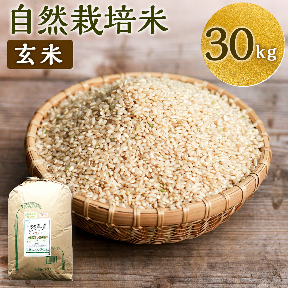 【ふるさと納税】【令和7年産】さとうファームの自然栽培米 玄米 30kg×1袋 ミルキークィーン お米 ごはん 栽培期間中農薬不使用 九州 大分県産 送料無料