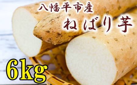 ＜2026年4月上旬発送開始予定＞ 岩手県産 敦子さんが育てたねばり芋 6kg 春掘り ／ 長いも 長芋 ながいも ねばり芋 ねばりいも 山芋 やまいも 山いも やま芋 農家直送 産地直送 直送 とろろ とろろご飯 ご飯のおとも ご飯のお供 やまかけ 山かけ 旬 新鮮 野菜 八幡平市産 おすすめ
