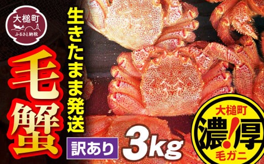 
                  【令和9年発送先行予約】【訳あり】三陸産 活毛ガニ 3kg【08】【2027年2月～4月発送】
                