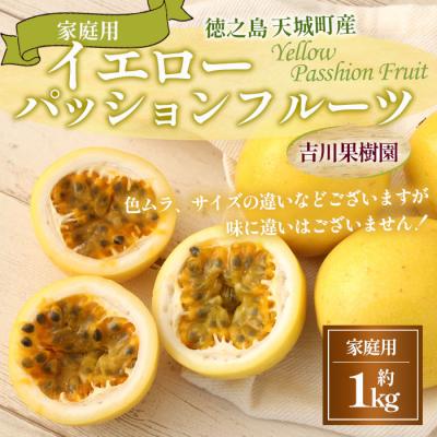 ふるさと納税 天城町 【2027年発送】徳之島 天城町 吉川果樹園 家庭用 イエロー パッション フルーツ 約1kg