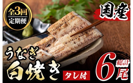 y491《定期便・全3回》国産！うなぎ白焼き(2尾×3回・タレ付き) 国産 九州産 鰻 ウナギ 無頭 魚 魚介類 かばやき 蒲焼 蒲焼き しろやき 白焼 おかず 特産品 お土産 ギフト プレゼント 冷蔵 定期便【尾方屋】