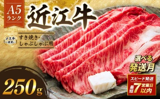 近江牛 A5 特上ロース すき焼き 250g 最短7営業日以内発送 スピード発送 A5ランク メス牛 特上 近江牛ロース ロース 牛肉 肉 お肉 和牛 黒毛和牛 国産牛 日本三大和牛 雌牛 ブランド牛 すきやき しゃぶしゃぶ お歳暮 おすすめ 滋賀 彦根