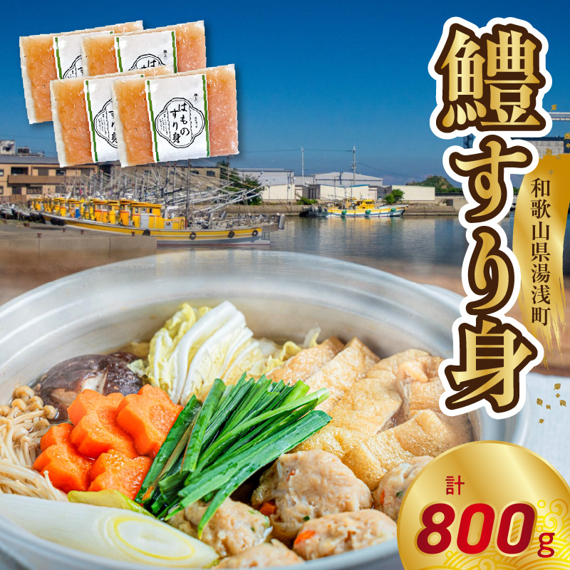 鱧すり身 200g × 4個 高級魚 鱧 漁港直送 その日に加工 真空冷凍 鮮度 キープ すり身 鍋 ハンバーグ つみれ汁 高級料亭 気分 味わえる 自宅 簡単 出来立て さつま揚げ 冷凍 お取り寄せ 和歌山県 湯浅町 送料無料_SD1002