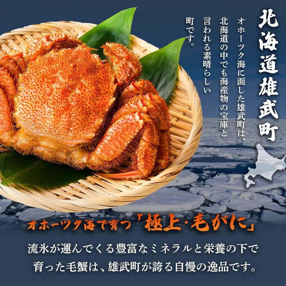 【北海道雄武町産】毛がに（冷凍）(600g前後×1)【1240702】