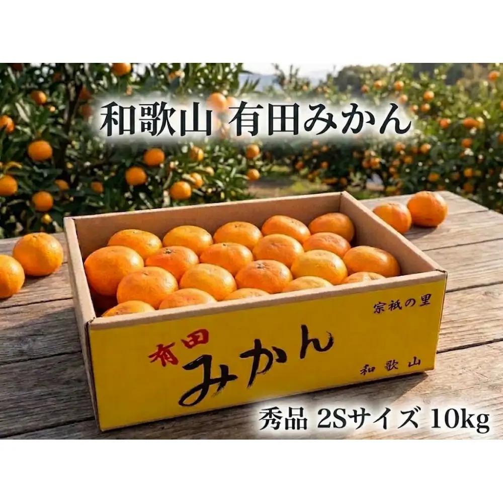 ［秀品・サイズ２Ｓ］和歌山有田産！早生みかん≪10kg≫［予約販売］［数量限定］まる隆果樹園