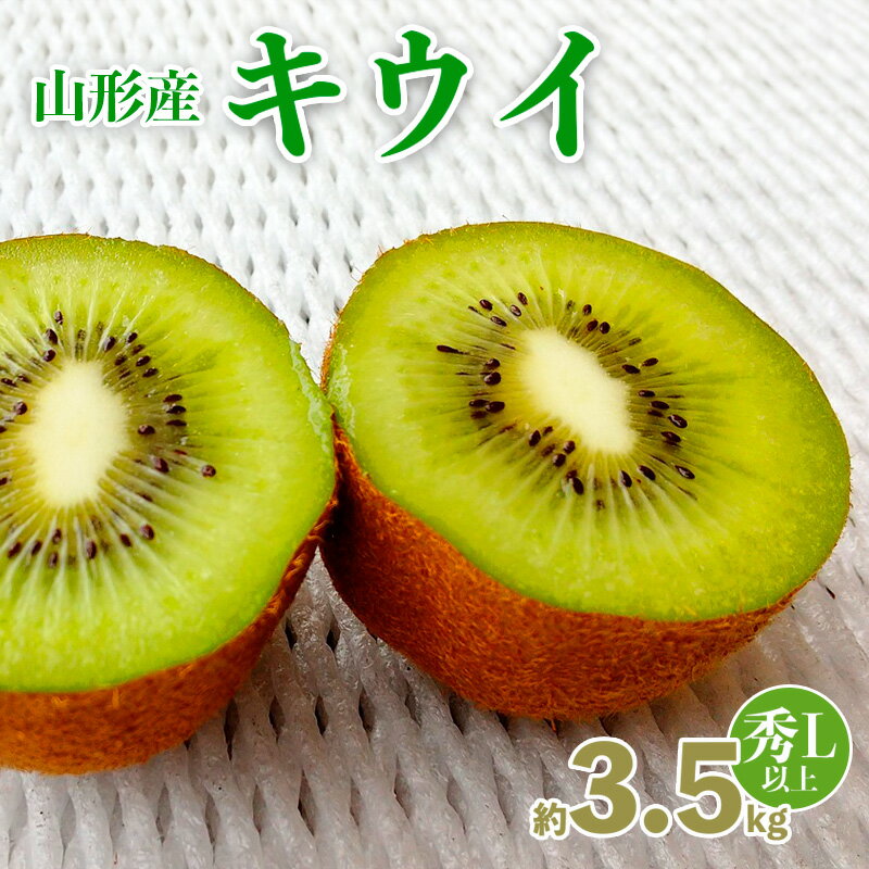 【ふるさと納税】山形産 キウイ 秀品 L以上 約3.5kg(20～30玉) fz20-067