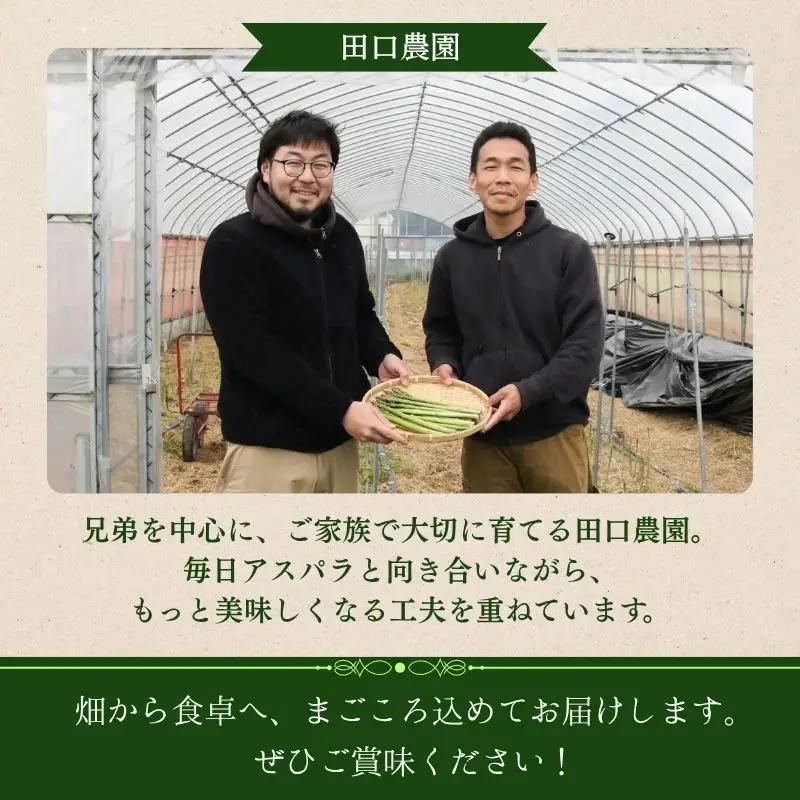 アスパラガス 1kg M～Lサイズ 京都 久御山 朝採り 先行予約 夏芽 アスパラガス