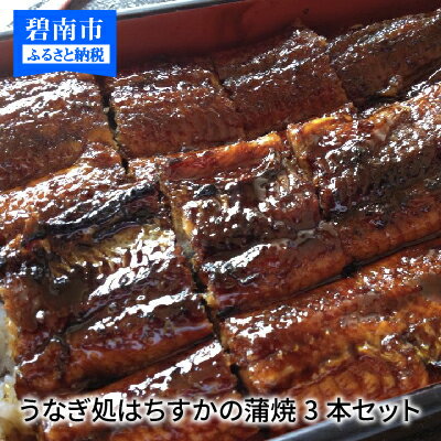 【ふるさと納税】三河一色産 鰻の蒲焼き 3尾 計540g以上 うなぎ処はちすか 国産 日本料理 うなぎ 蒲焼 白焼 真空 冷蔵 大きい 白だし かつおぶし 出汁 うな丼 うな重 ひつまぶし