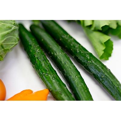 ふるさと納税 八王子市 東京・八王子産　とれたて新鮮野菜&卵の詰め合わせセット |  | 01