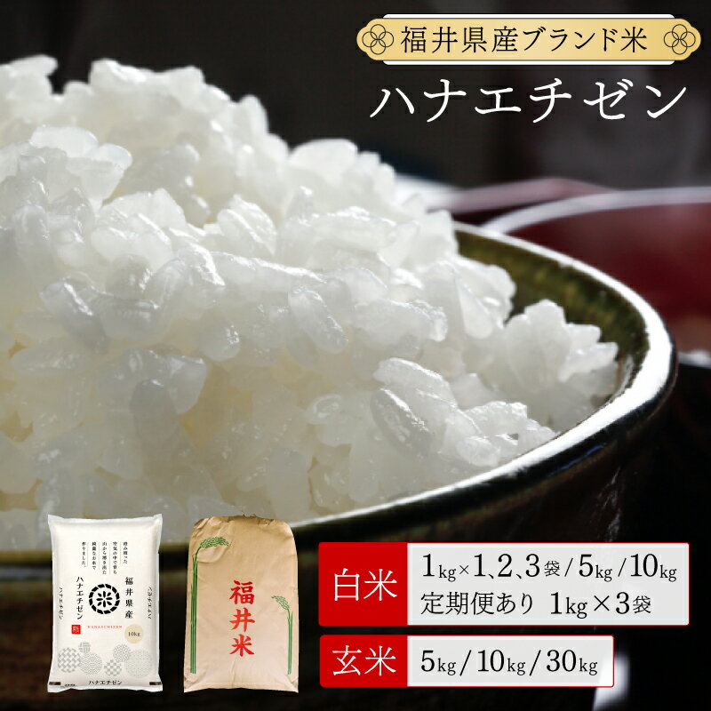 【ふるさと納税】福井県産 ハナエチゼン 精米 または 玄米 [ 1kg / 5kg / 10kg / 30kg / 定期便 ]【米 コメ お米 精米 白米 玄米 ご飯 飯 華越前 ブランド米 国産 お中元 お歳暮 ギフト 贈り物 贈答 NEW 新規】