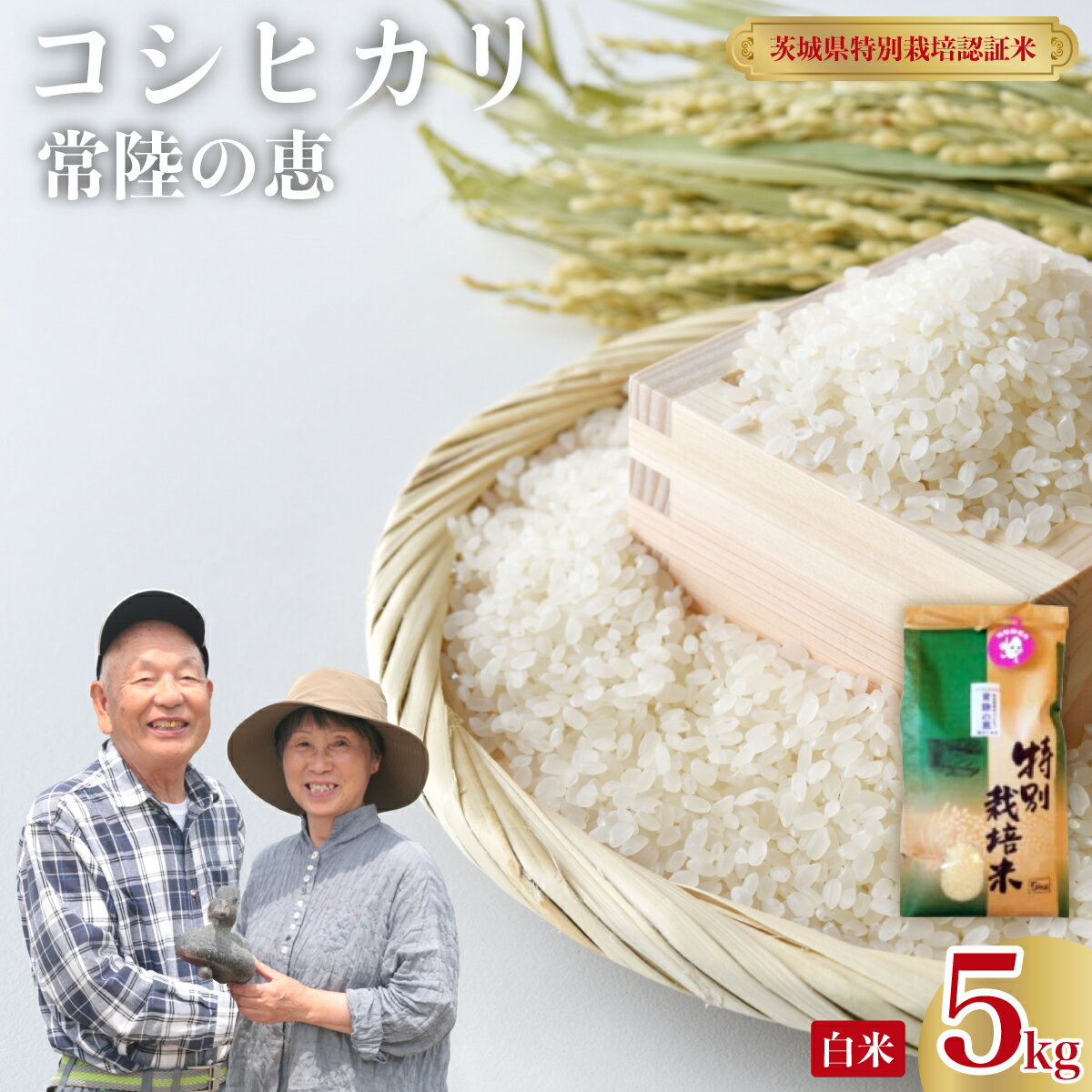 【ふるさと納税】 こしひかり 常陸の恵 精米 5kg 特別栽培認証米 | コシヒカリ GAP認証 森 ミネラル 水 安全 安心 美味しい 米 人気 茨城県 常陸太田市