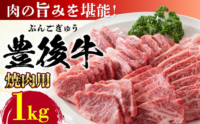 おおいた豊後牛 焼肉用 1kg(500g×2P) 日田市 / 株式会社MEAT PLUS　牛 うし 黒毛和牛 和牛 豊後牛 [AREI022]