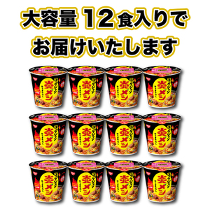 【日清炎メシユッケジャン】12食 日清食品 インスタント 即席 JC
