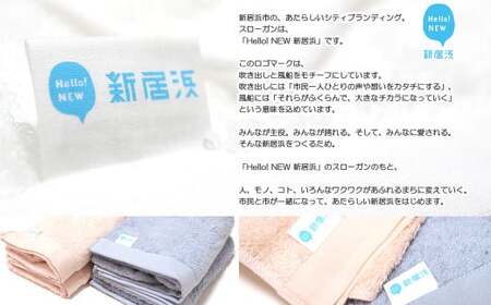 【今治タオル】【Hello!NEW タオル】バスタオル2枚セット　シンプルサンホーキン Bセット（ブルー）